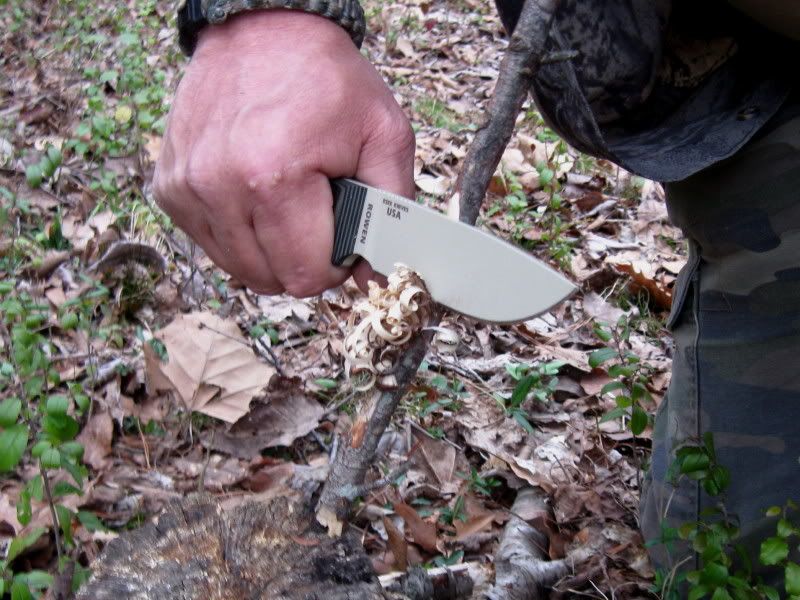 Custom ESEE Scales Form TheKnifeConnection